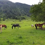 Pongitzerhof Matrei in Osttirol