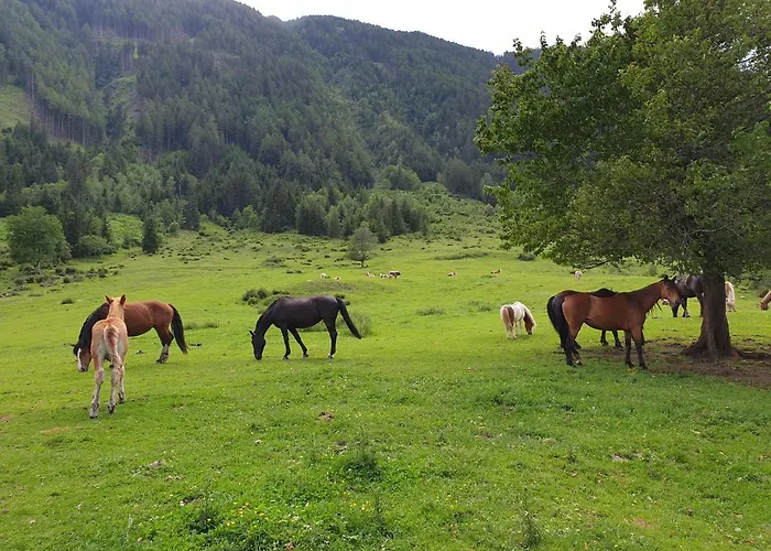 Pongitzerhof מטרי אין אוסטירול