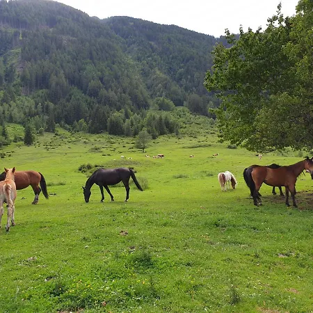 Pongitzerhof Matrei in Osttirol